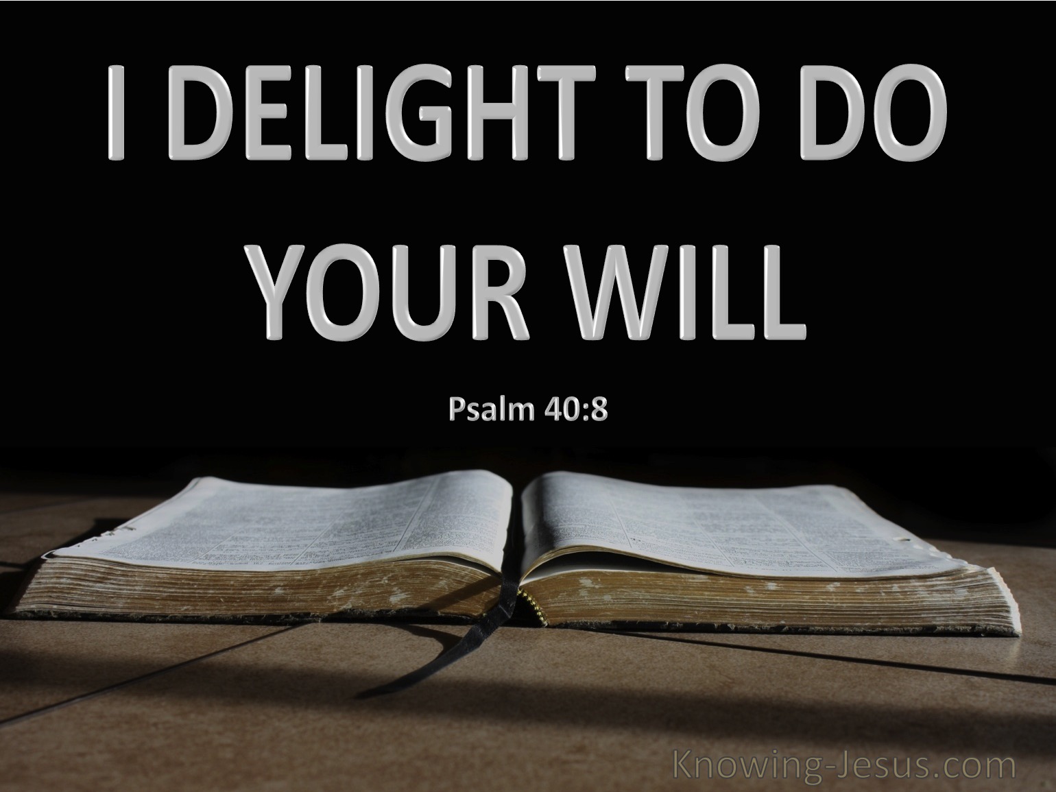 What Does Psalm 40 8 Mean 